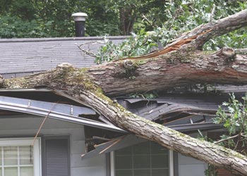 Storm Damage Restoration Charlotte, NC